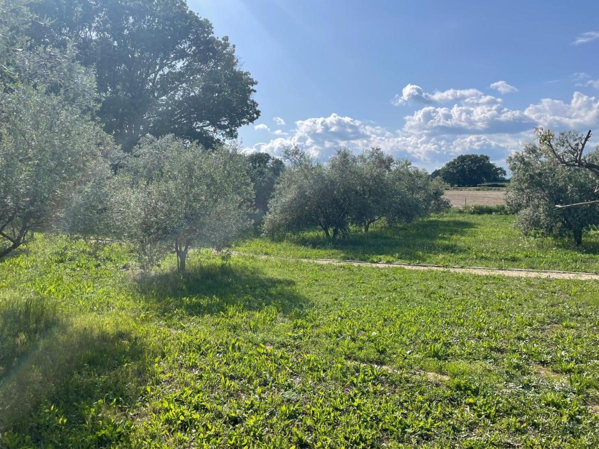 Sous Les Etoiles En Provence, Gite Les Grands Chenes Lurs Экстерьер фото