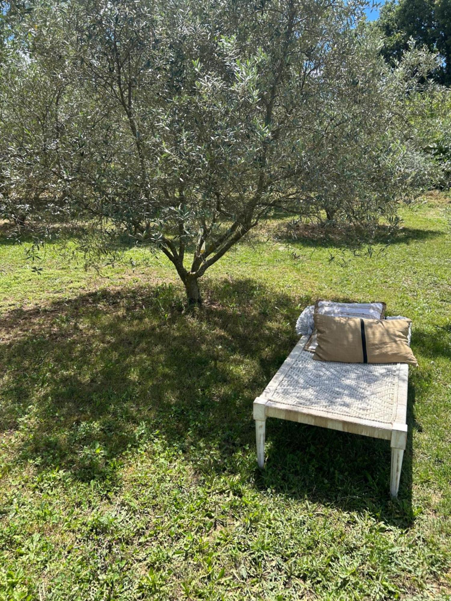 Sous Les Etoiles En Provence, Gite Les Grands Chenes Lurs Экстерьер фото
